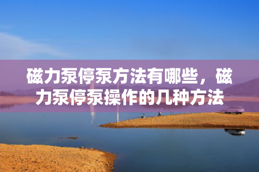 磁力泵停泵方法有哪些，磁力泵停泵操作的几种方法