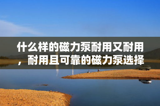 什么样的磁力泵耐用又耐用，耐用且可靠的磁力泵选择指南