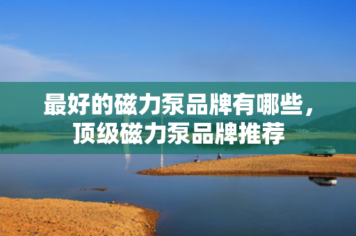 最好的磁力泵品牌有哪些，顶级磁力泵品牌推荐