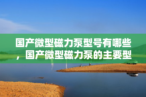 国产微型磁力泵型号有哪些，国产微型磁力泵的主要型号概览