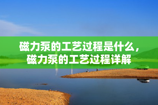 磁力泵的工艺过程是什么，磁力泵的工艺过程详解