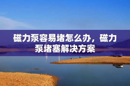磁力泵容易堵怎么办，磁力泵堵塞解决方案