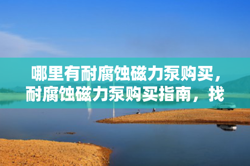 哪里有耐腐蚀磁力泵购买，耐腐蚀磁力泵购买指南，找到最适合您的产品
