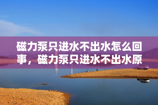 磁力泵只进水不出水怎么回事，磁力泵只进水不出水原因解析