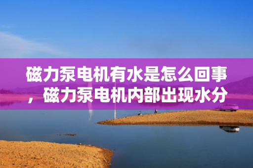 磁力泵电机有水是怎么回事，磁力泵电机内部出现水分的原因及解决方法