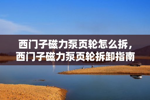 西门子磁力泵页轮怎么拆，西门子磁力泵页轮拆卸指南