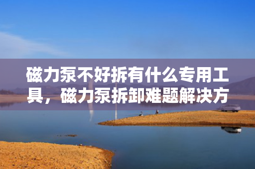 磁力泵不好拆有什么专用工具，磁力泵拆卸难题解决方案，专用工具助力轻松拆解