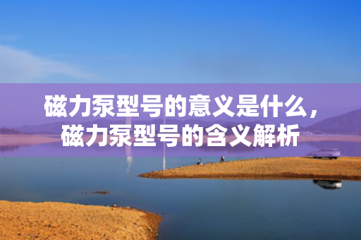 磁力泵型号的意义是什么，磁力泵型号的含义解析
