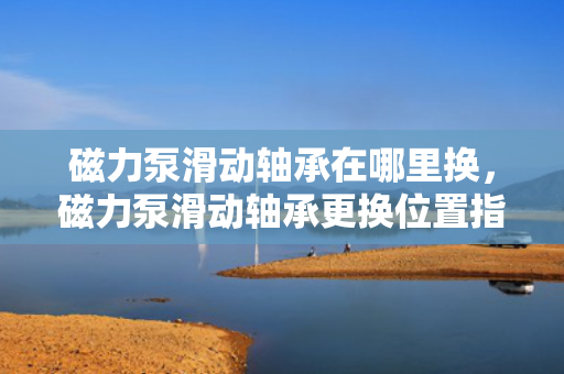 磁力泵滑动轴承在哪里换，磁力泵滑动轴承更换位置指南