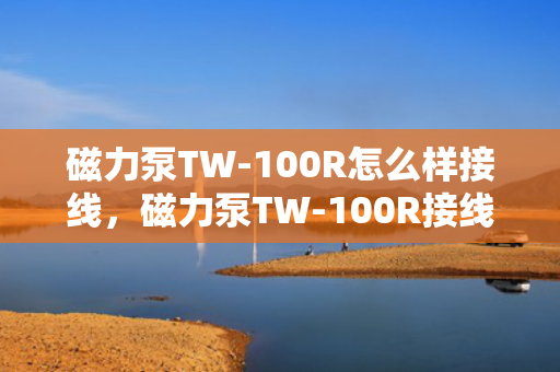 磁力泵TW-100R怎么样接线，磁力泵TW-100R接线方法详解