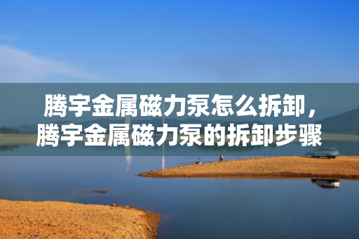 腾宇金属磁力泵怎么拆卸，腾宇金属磁力泵的拆卸步骤详解