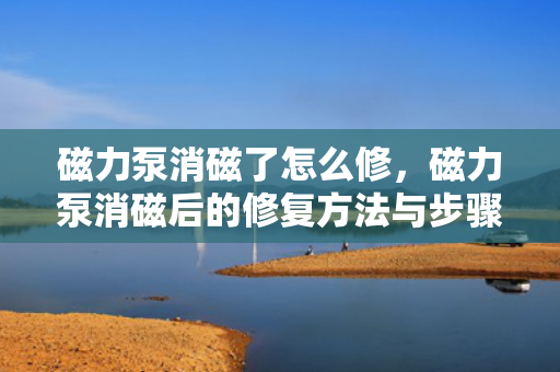 磁力泵消磁了怎么修，磁力泵消磁后的修复方法与步骤