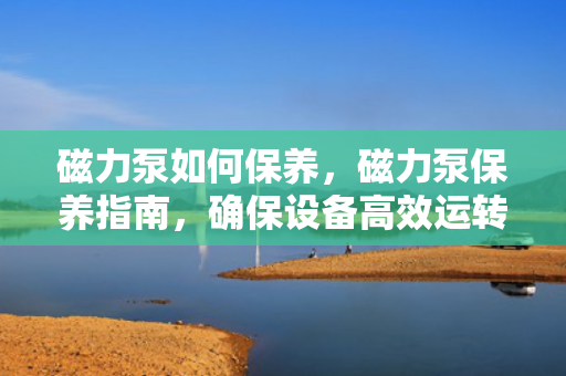 磁力泵如何保养，磁力泵保养指南，确保设备高效运转的秘诀