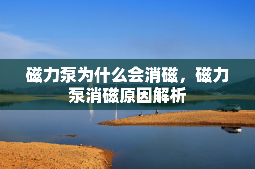磁力泵为什么会消磁，磁力泵消磁原因解析