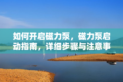 如何开启磁力泵，磁力泵启动指南，详细步骤与注意事项