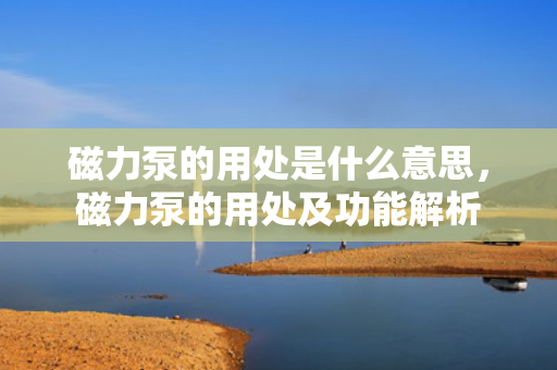 磁力泵的用处是什么意思，磁力泵的用处及功能解析