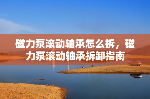 磁力泵滚动轴承怎么拆，磁力泵滚动轴承拆卸指南