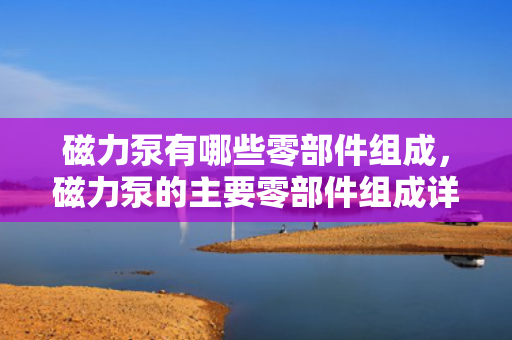 磁力泵有哪些零部件组成，磁力泵的主要零部件组成详解