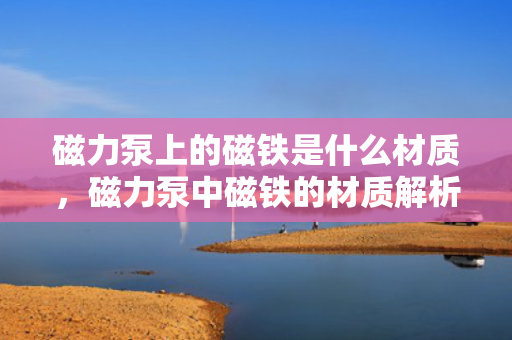 磁力泵上的磁铁是什么材质，磁力泵中磁铁的材质解析