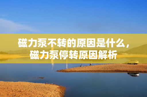 磁力泵不转的原因是什么，磁力泵停转原因解析