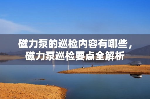 磁力泵的巡检内容有哪些，磁力泵巡检要点全解析