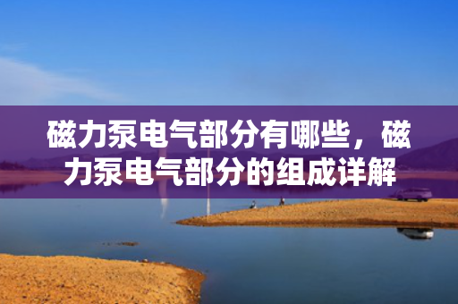 磁力泵电气部分有哪些，磁力泵电气部分的组成详解