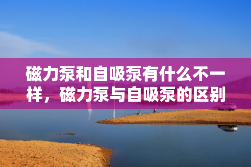 磁力泵和自吸泵有什么不一样，磁力泵与自吸泵的区别解析