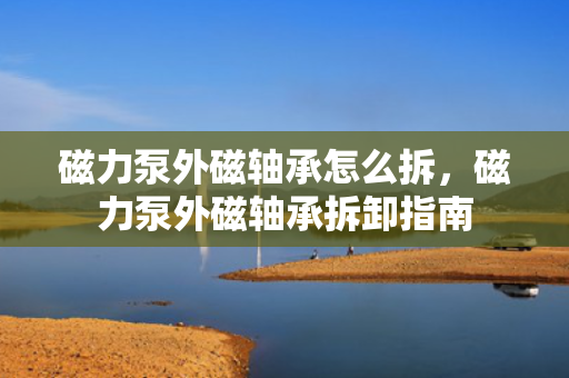磁力泵外磁轴承怎么拆，磁力泵外磁轴承拆卸指南
