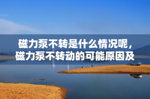 磁力泵不转是什么情况呢，磁力泵不转动的可能原因及解决方法