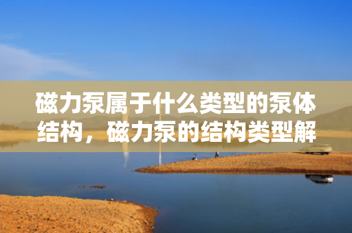 磁力泵属于什么类型的泵体结构，磁力泵的结构类型解析