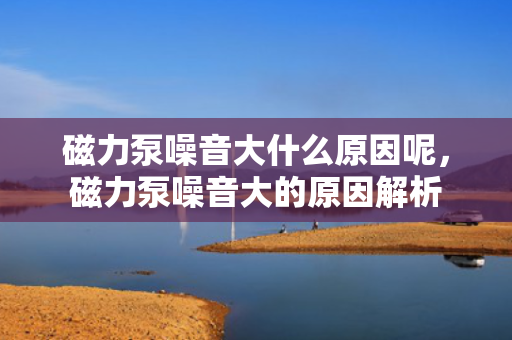 磁力泵噪音大什么原因呢，磁力泵噪音大的原因解析