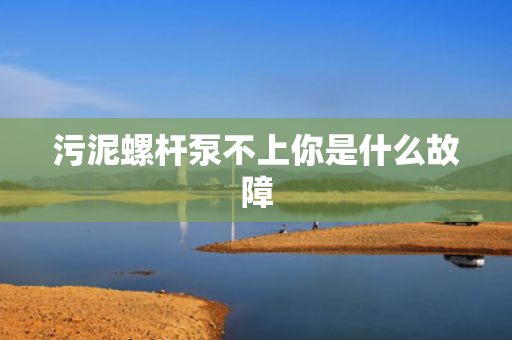 污泥螺杆泵不上你是什么故障