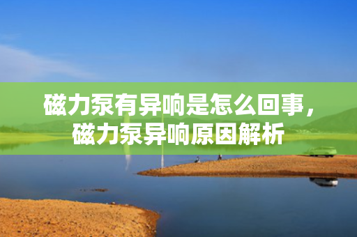 磁力泵有异响是怎么回事，磁力泵异响原因解析
