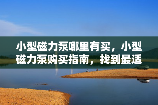 小型磁力泵哪里有买，小型磁力泵购买指南，找到最适合你的购买渠道