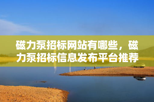 磁力泵招标网站有哪些，磁力泵招标信息发布平台推荐