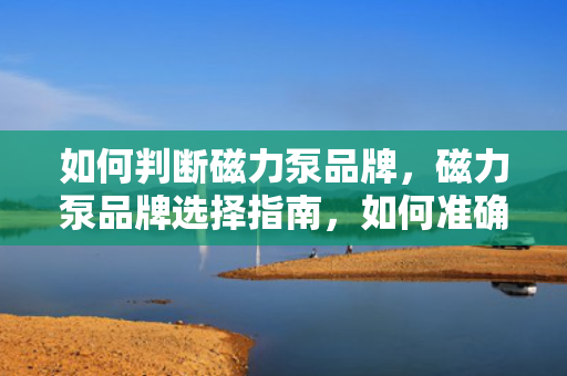 如何判断磁力泵品牌，磁力泵品牌选择指南，如何准确判断磁力泵的品质与可靠性