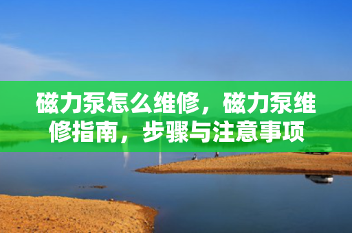 磁力泵怎么维修，磁力泵维修指南，步骤与注意事项