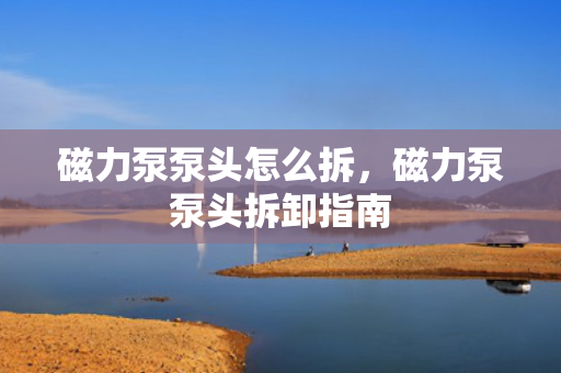 磁力泵泵头怎么拆，磁力泵泵头拆卸指南