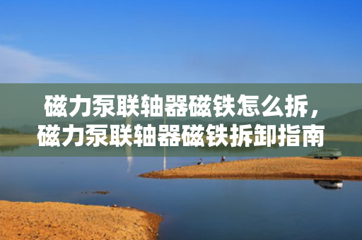 磁力泵联轴器磁铁怎么拆，磁力泵联轴器磁铁拆卸指南