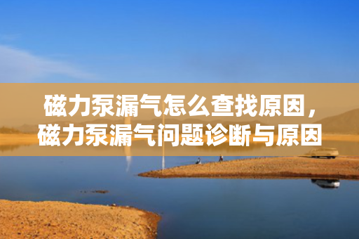 磁力泵漏气怎么查找原因，磁力泵漏气问题诊断与原因查找方法