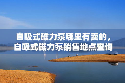 自吸式磁力泵哪里有卖的，自吸式磁力泵销售地点查询