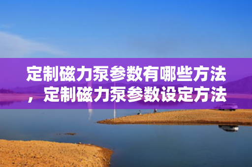 定制磁力泵参数有哪些方法，定制磁力泵参数设定方法详解