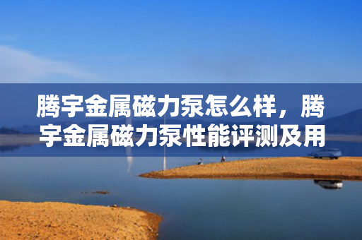 腾宇金属磁力泵怎么样，腾宇金属磁力泵性能评测及用户反馈