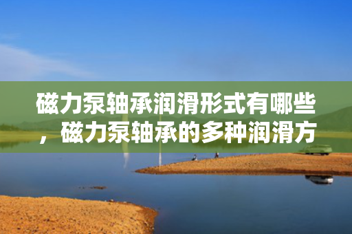 磁力泵轴承润滑形式有哪些，磁力泵轴承的多种润滑方式解析