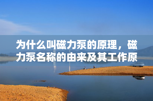 为什么叫磁力泵的原理，磁力泵名称的由来及其工作原理