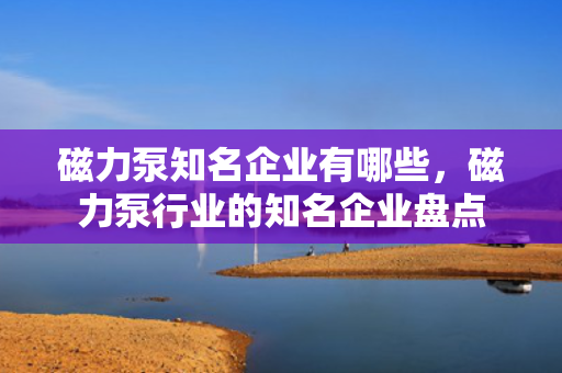 磁力泵知名企业有哪些，磁力泵行业的知名企业盘点