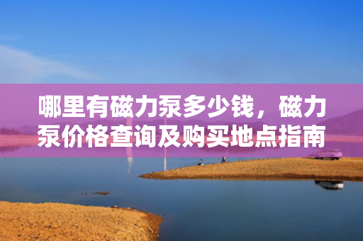 哪里有磁力泵多少钱，磁力泵价格查询及购买地点指南