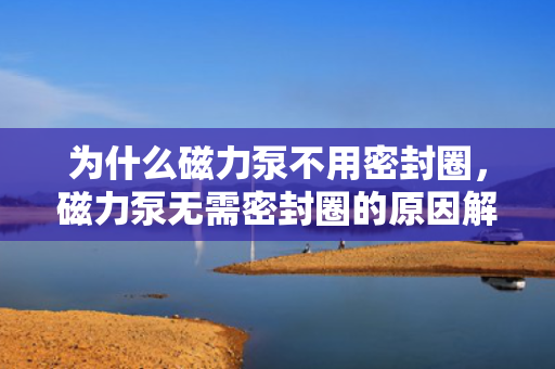 为什么磁力泵不用密封圈，磁力泵无需密封圈的原因解析