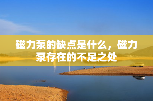 磁力泵的缺点是什么，磁力泵存在的不足之处