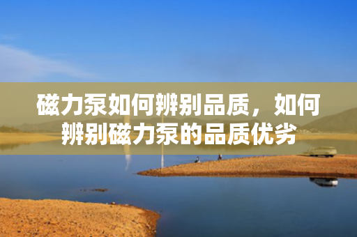 磁力泵如何辨别品质，如何辨别磁力泵的品质优劣